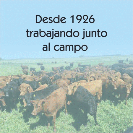 Campo-Industria 5
