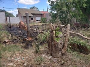 Acusa al vecino de prender fuego y quemarle terreno de su propiedad