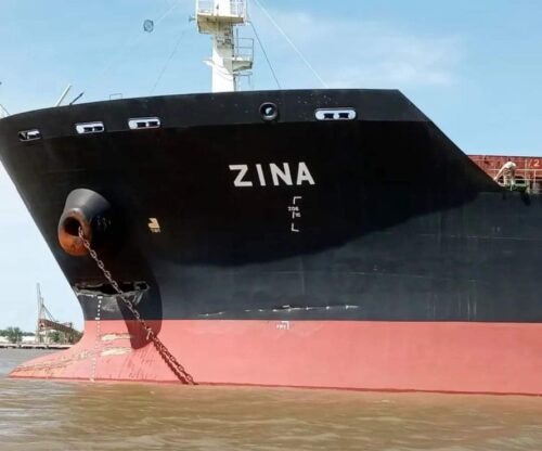 Lo hizo temblar: Un barco cerealero chocó el puente Zárate-Brazo Largo