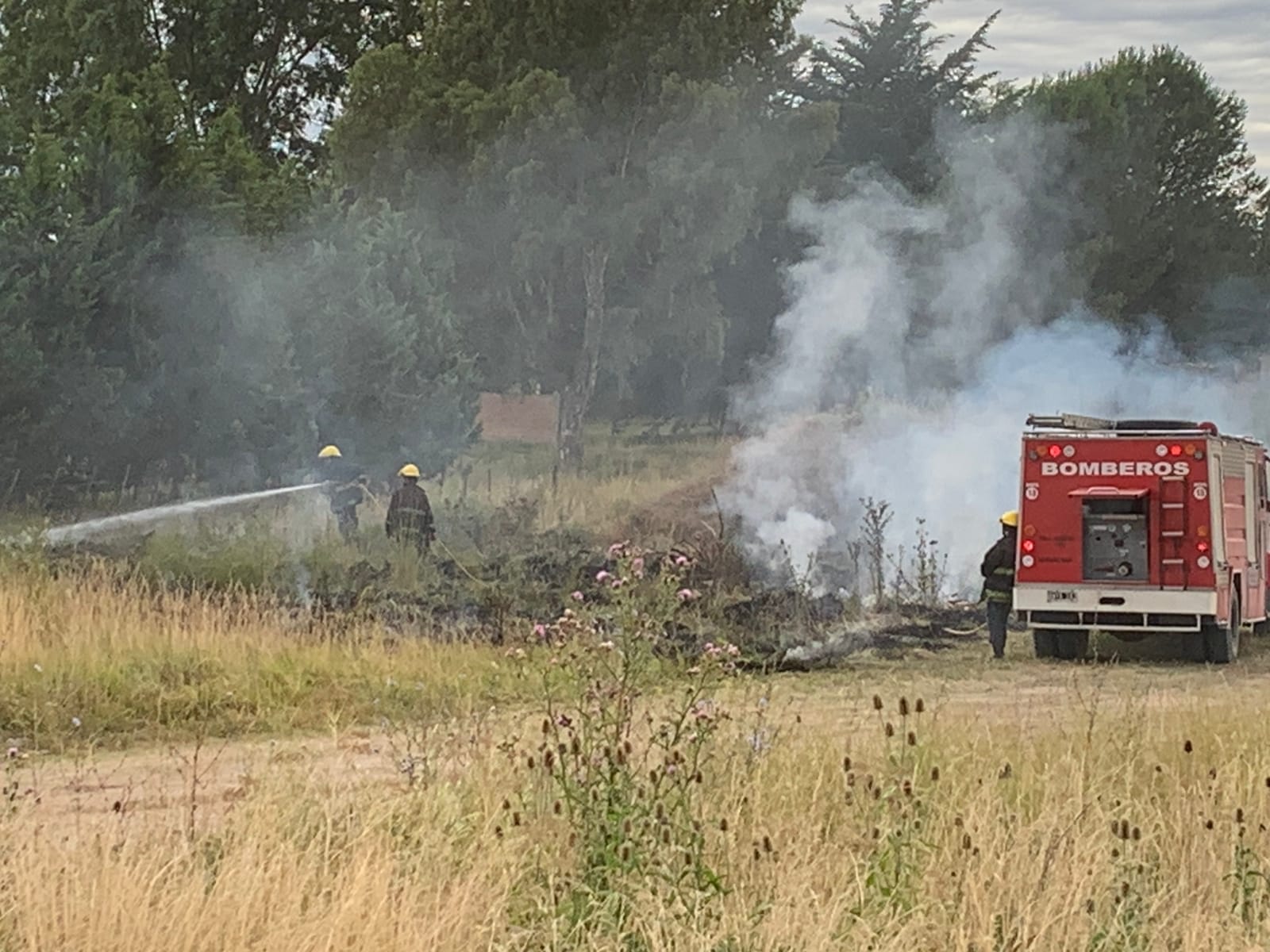 Tempranero incendio de pastizales en el camino de cintura (video)