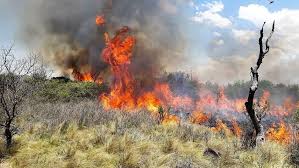 Defensa Civil pide responsabilidad para evitar incendios forestales