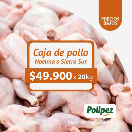 Inicio Publicidad 24