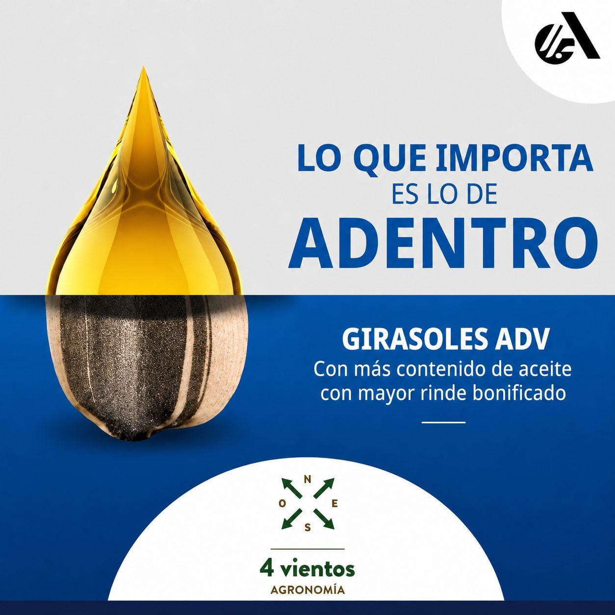 Inicio - Publicidad 3
