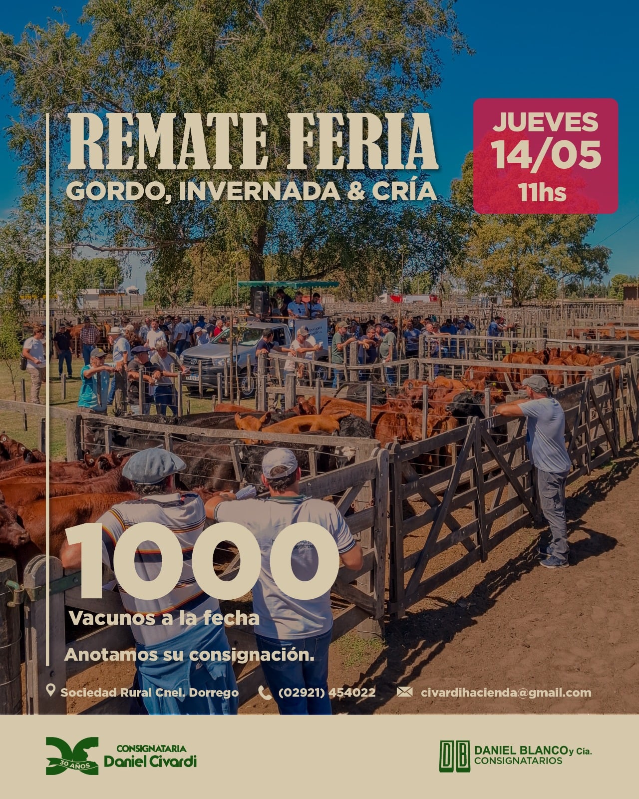 Inicio Publicidad 28