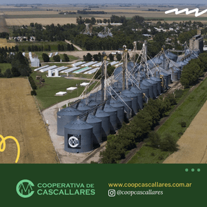 Inicio Publiciadad 26