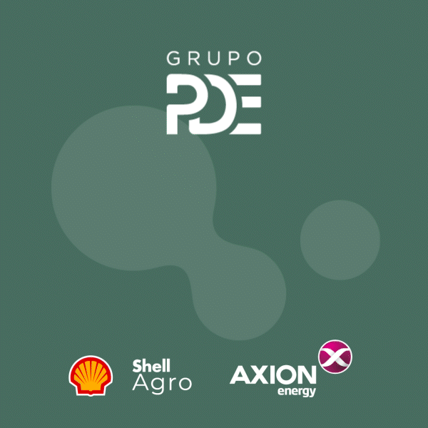 Inicio - Publicidad 7