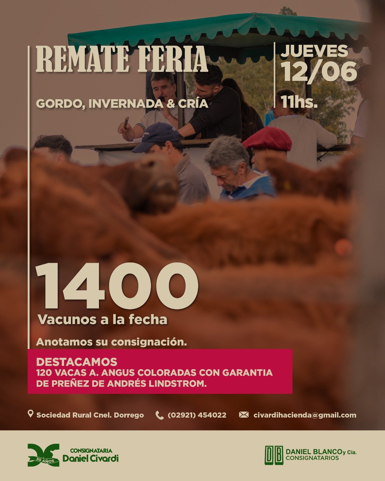 Inicio Publicidad 29