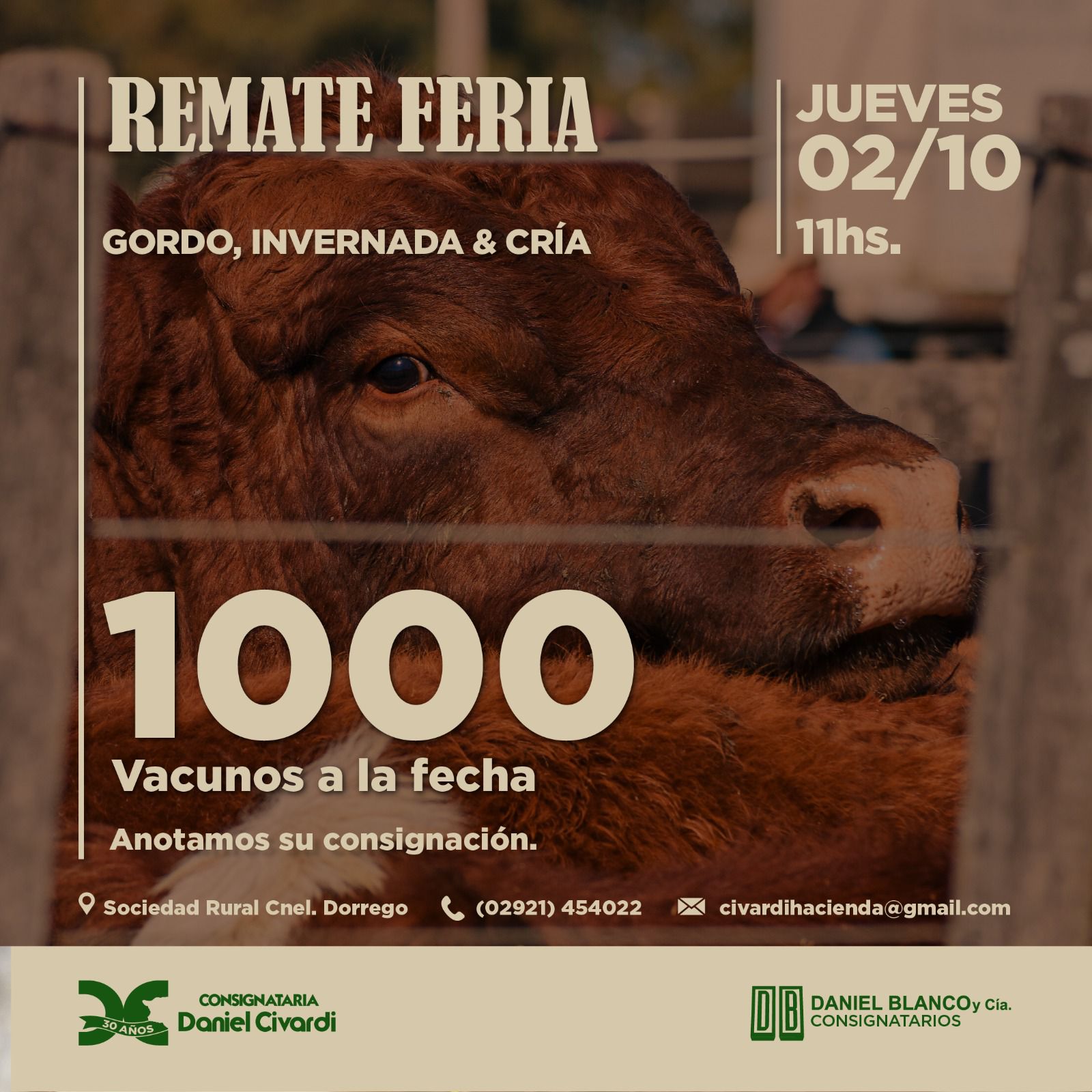 Home Publicidad 2