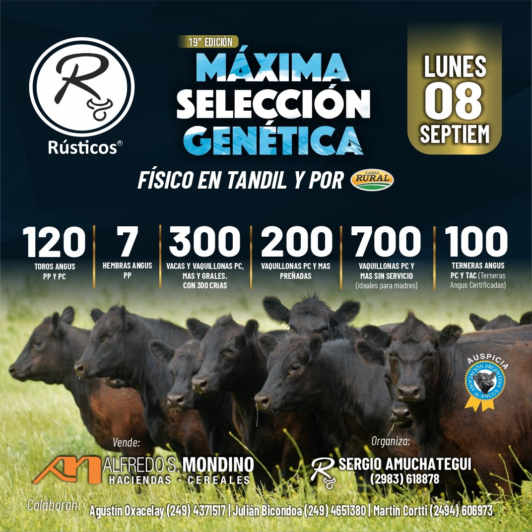 Inicio - Publicidad 9