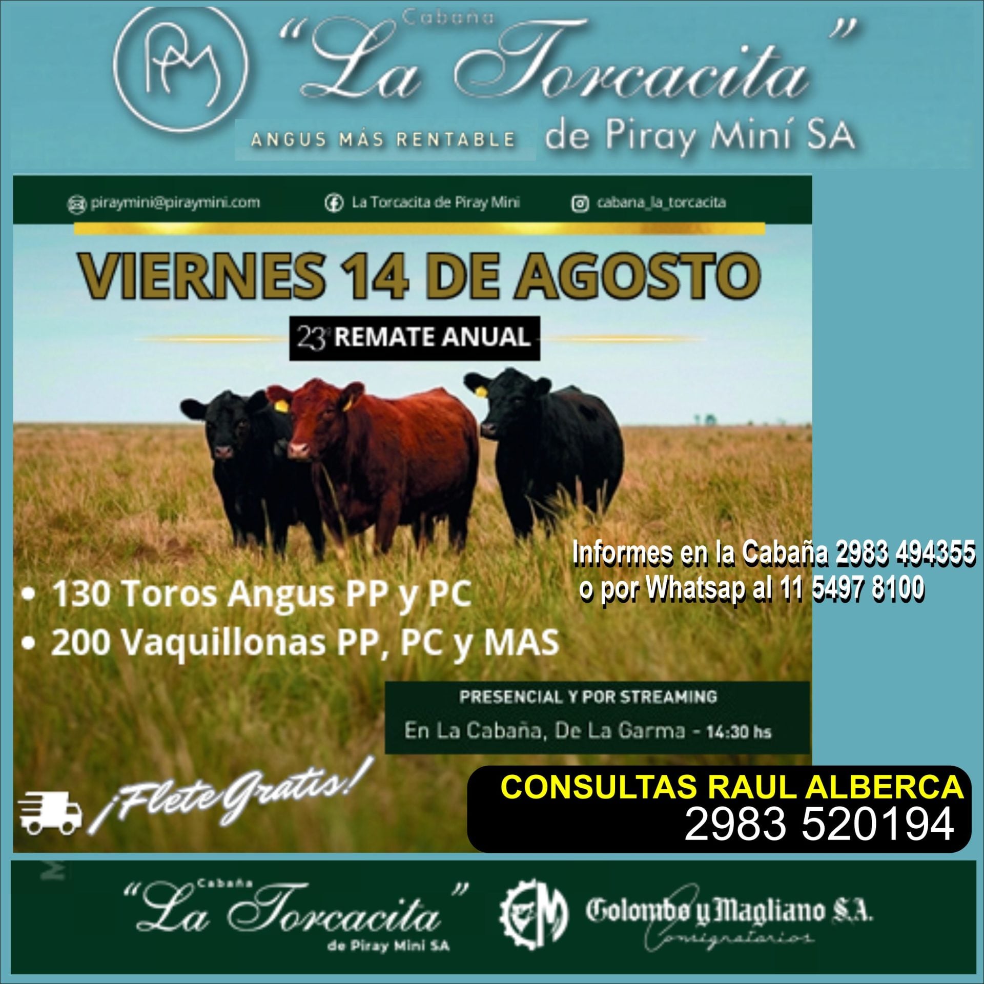 Inicio Publicidad 28