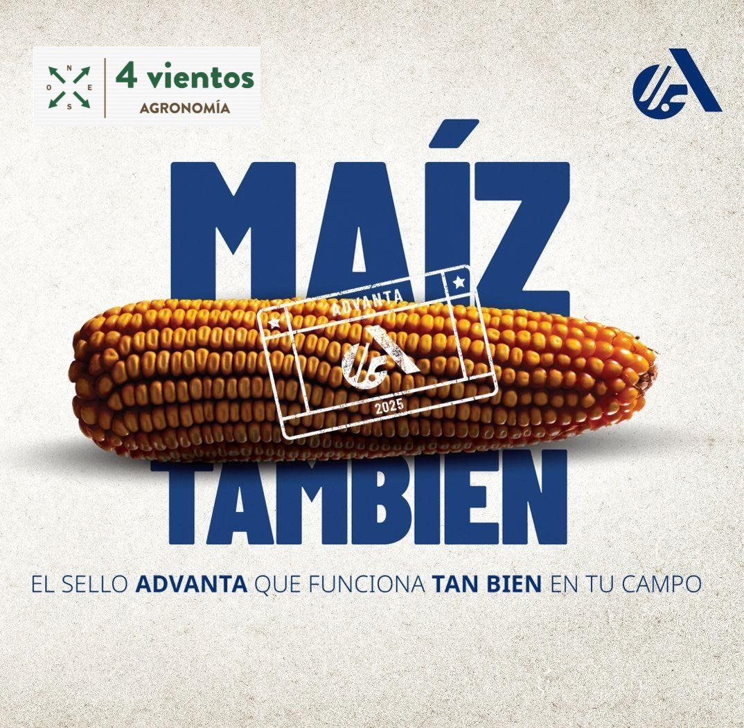 Inicio - Publicidad 3