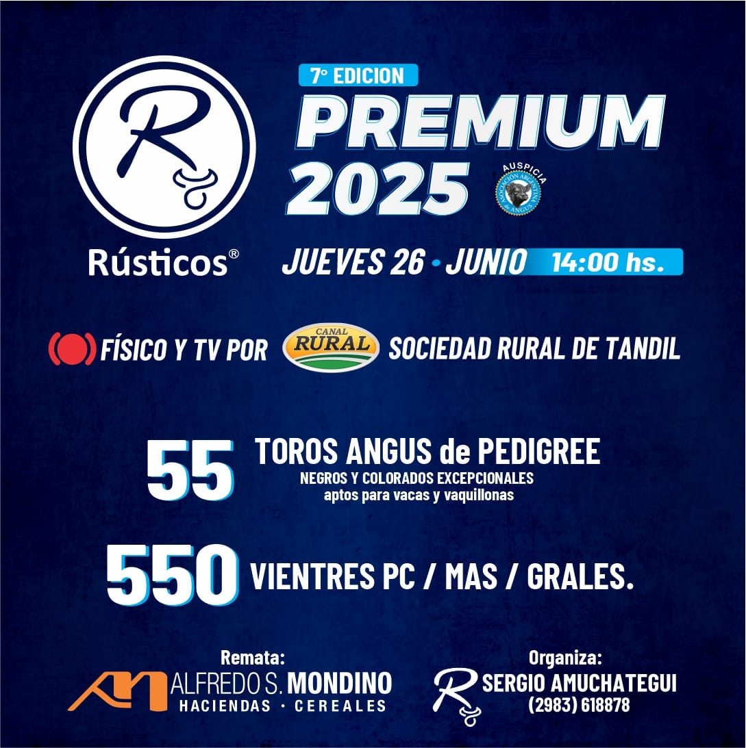 Inicio Publicidad 24