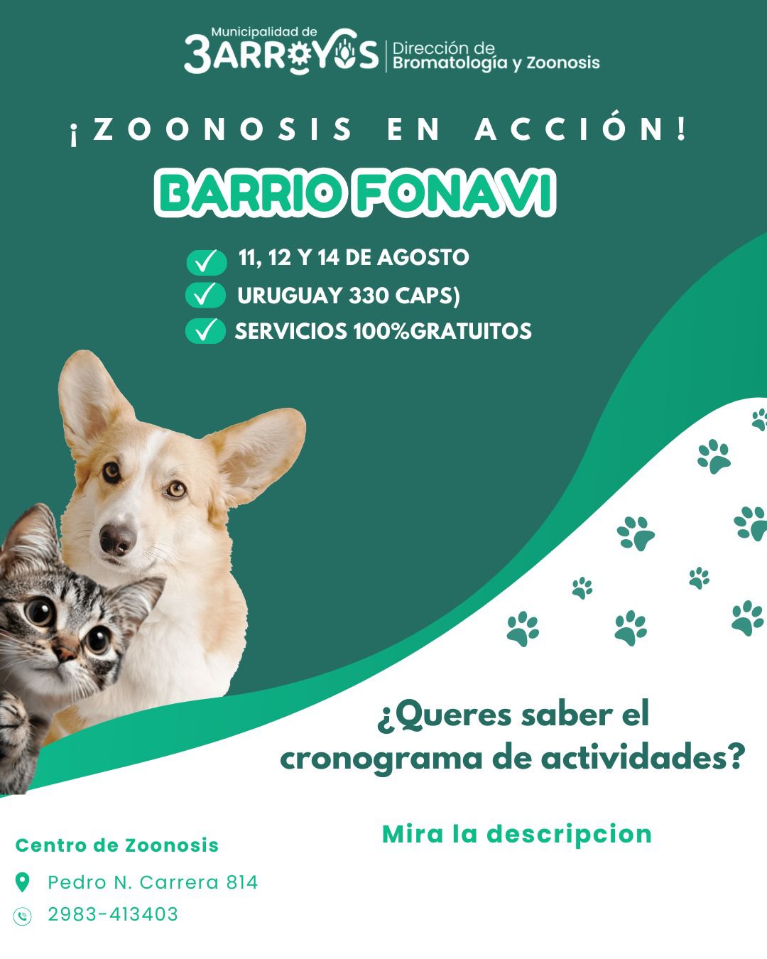  Publi Subcat 3