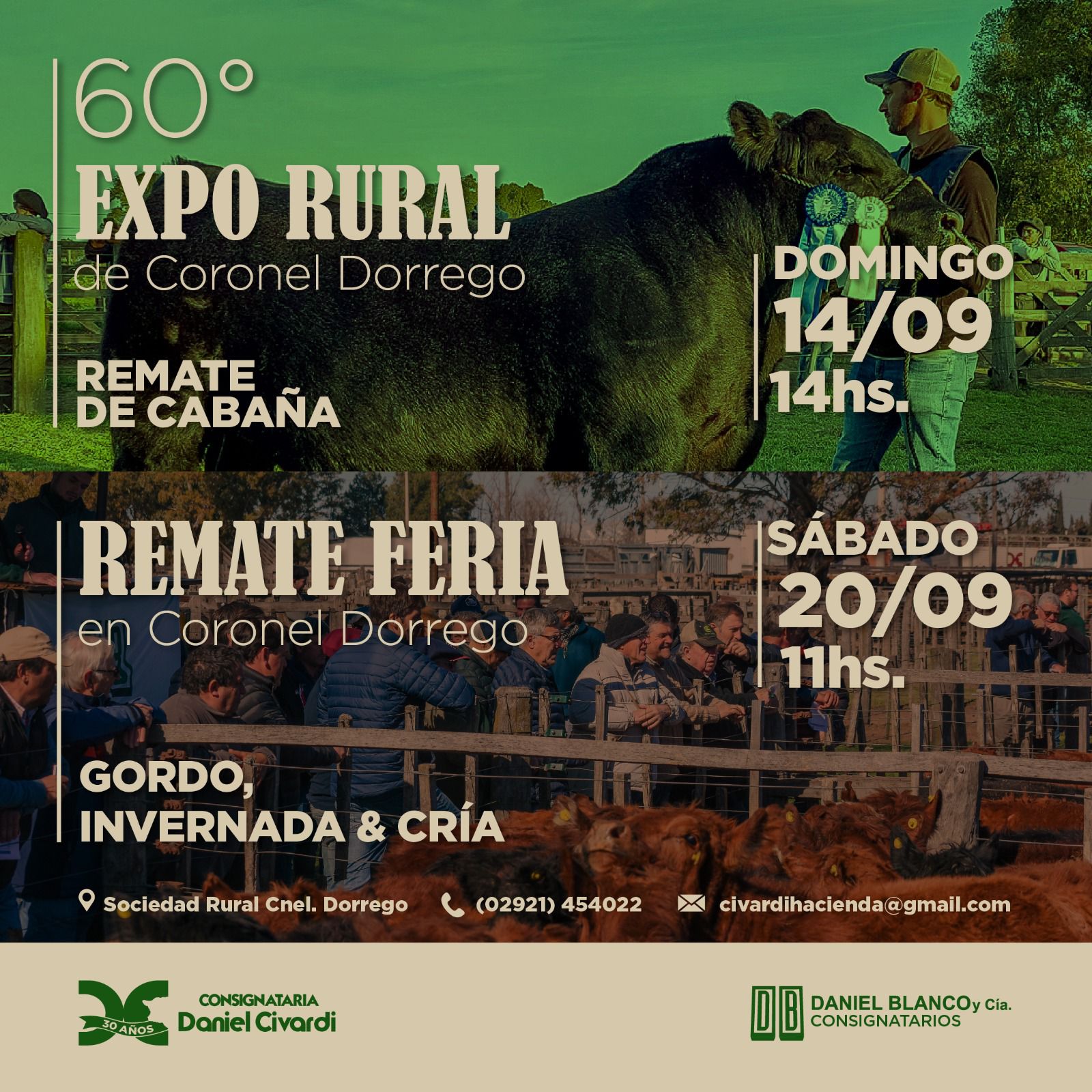 Inicio publicidad 16