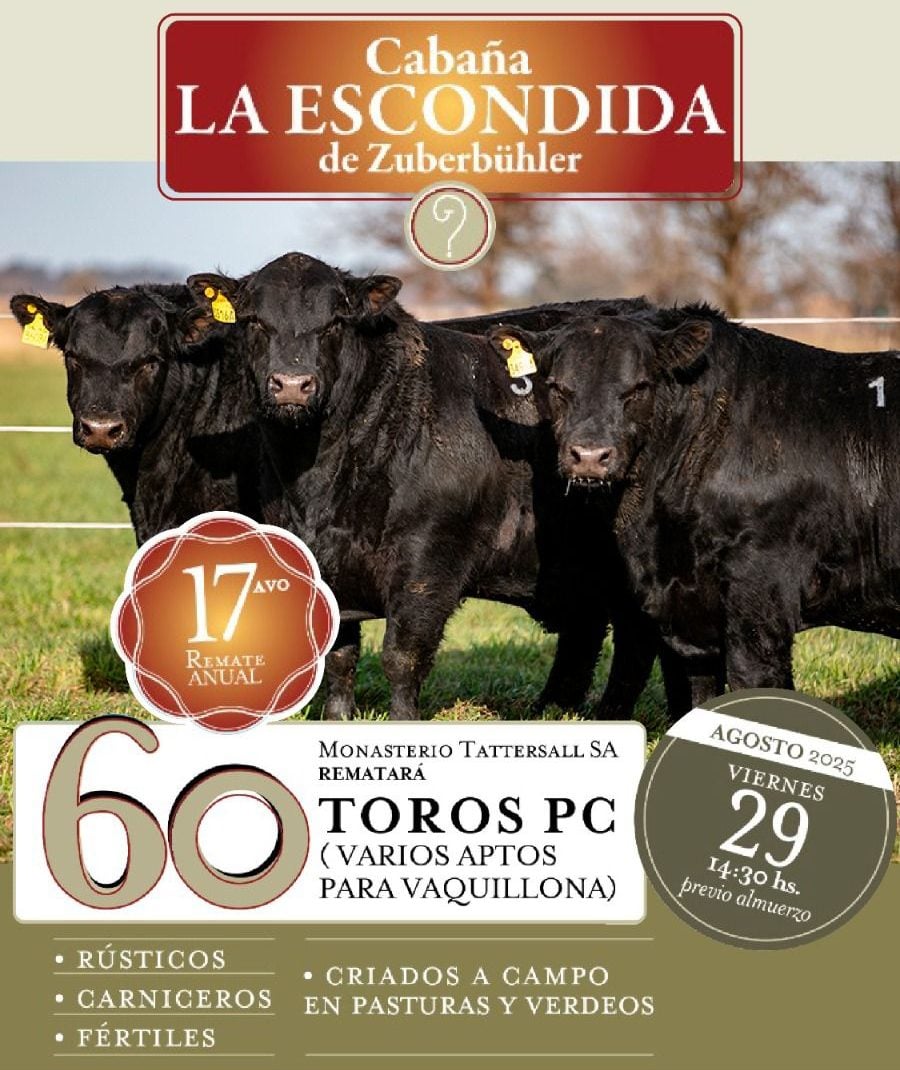Inicio - Publicidad 3