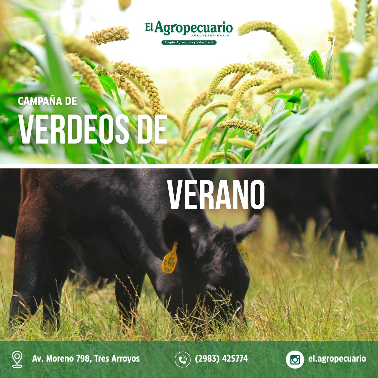 Inicio -  Publicidad 15