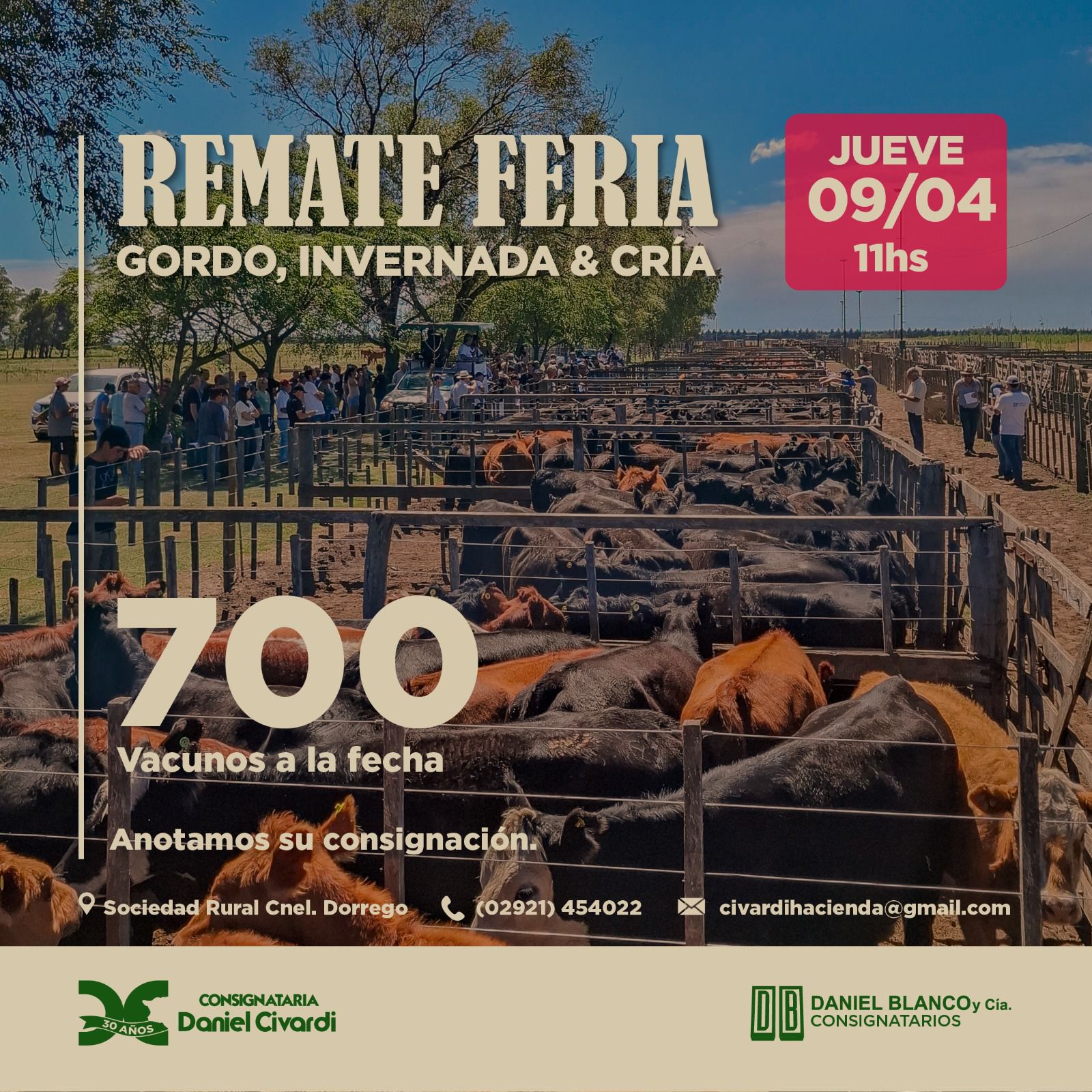 Inicio - Publicidad 6