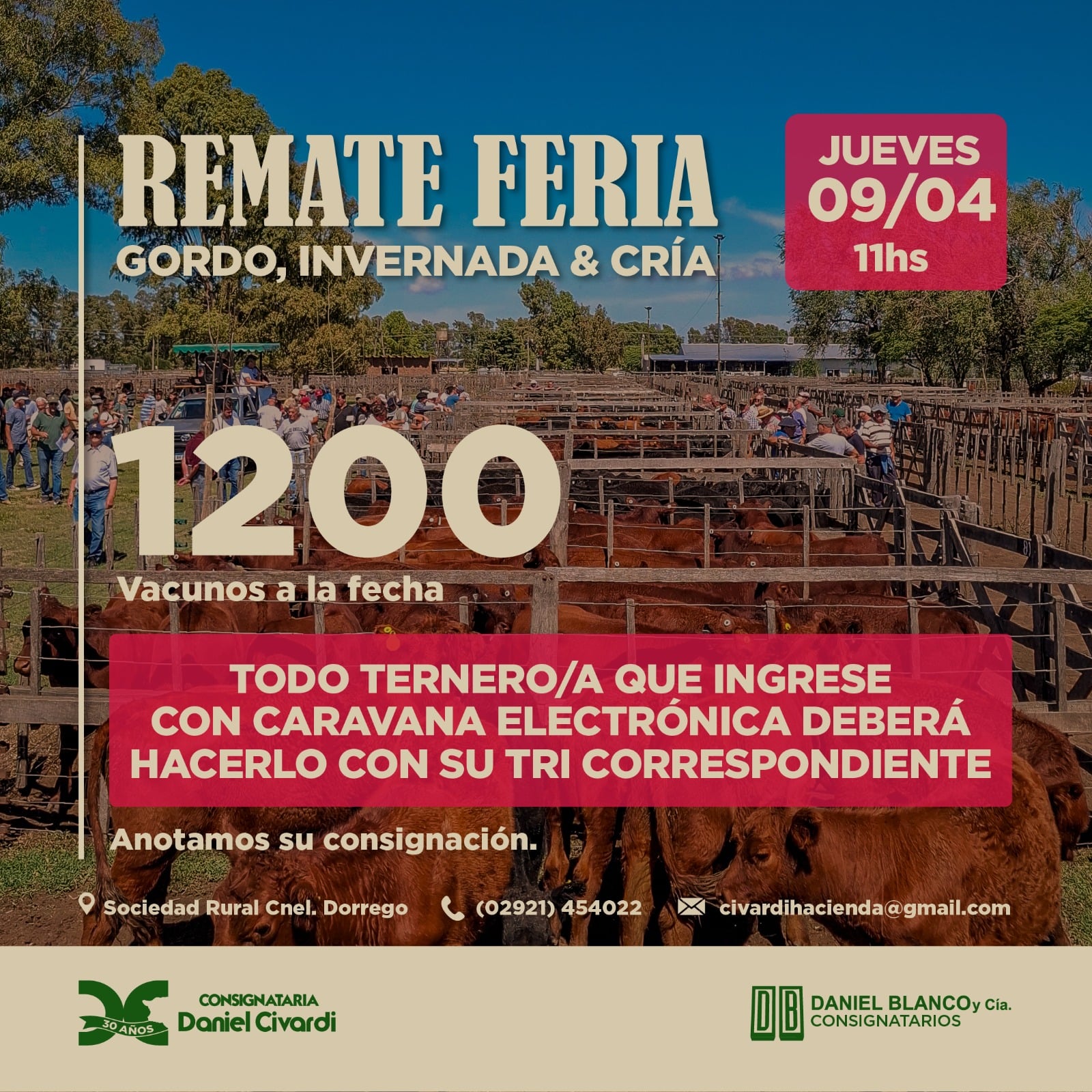 Inicio - Publicidad 6