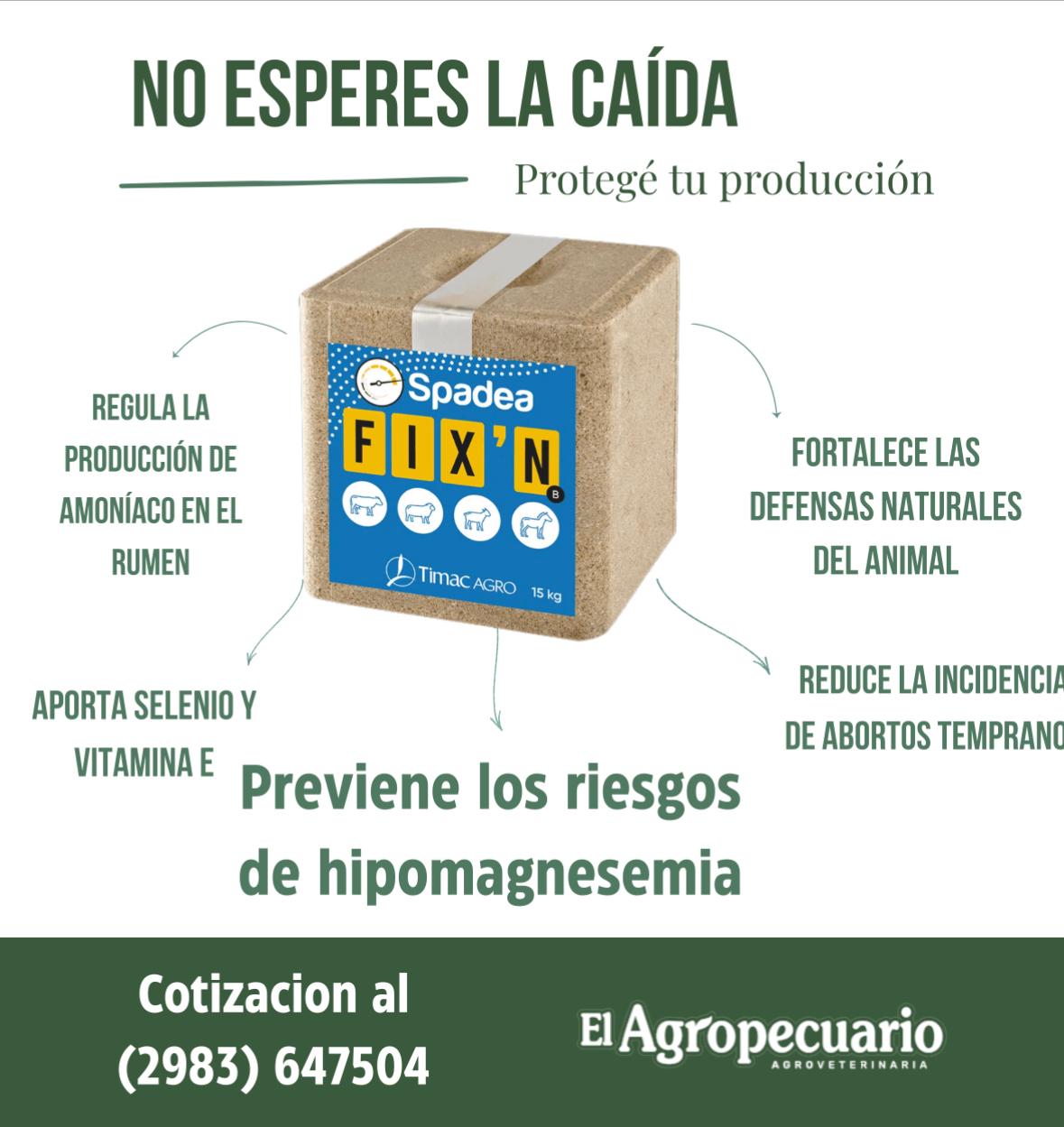 Inicio Publicidad 27