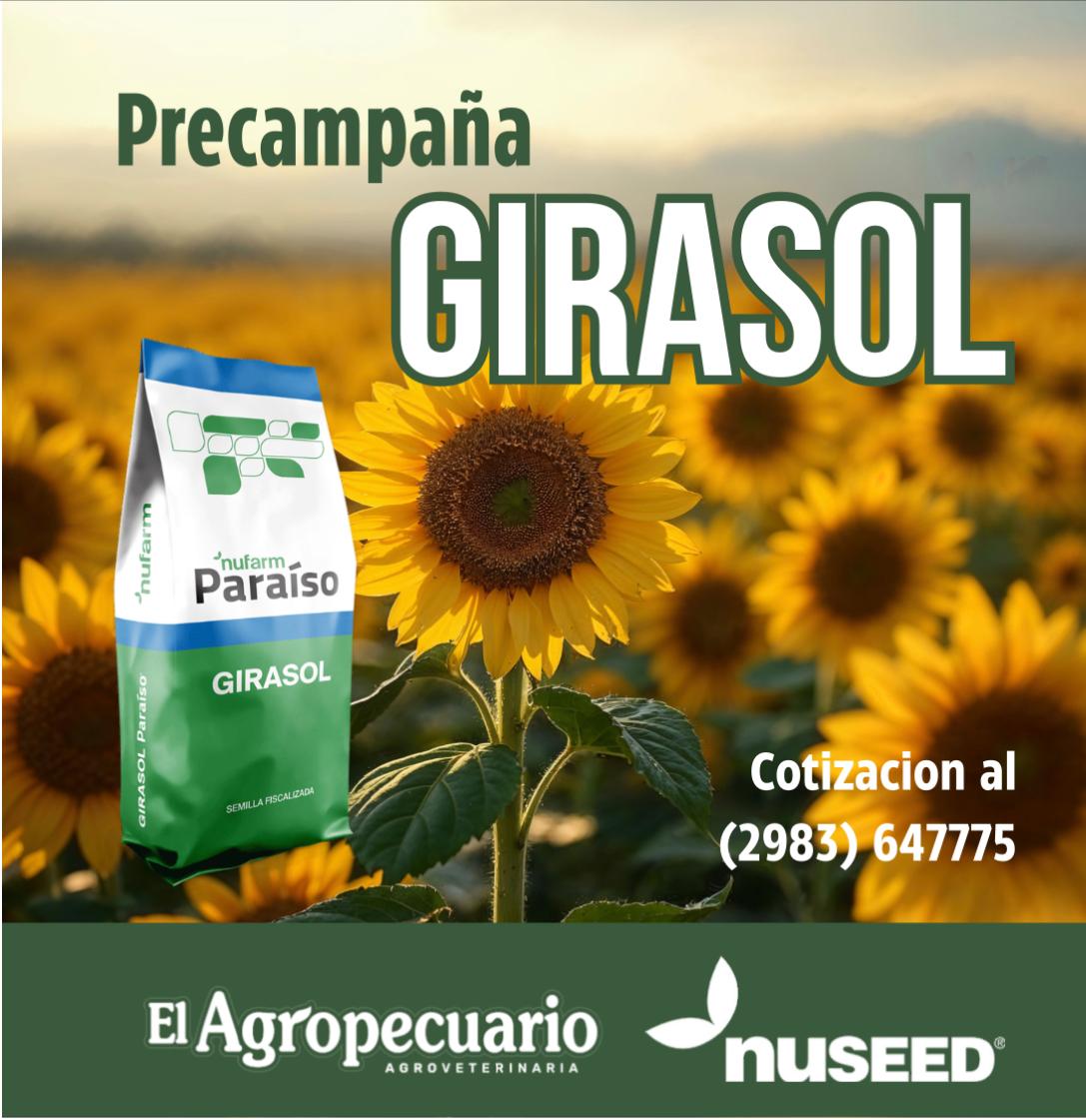 Inicio - Publicidad 12