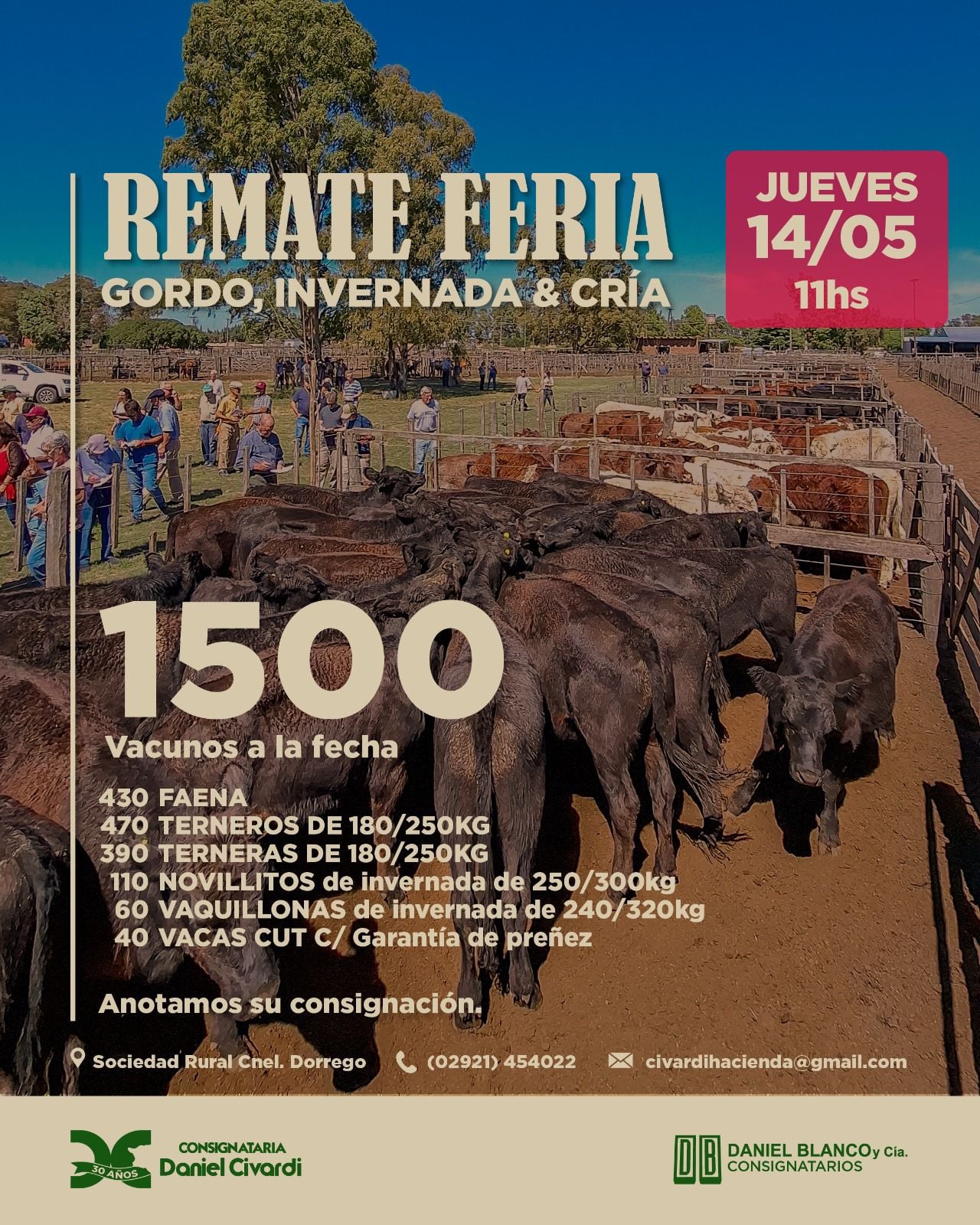Campo-Industria 4