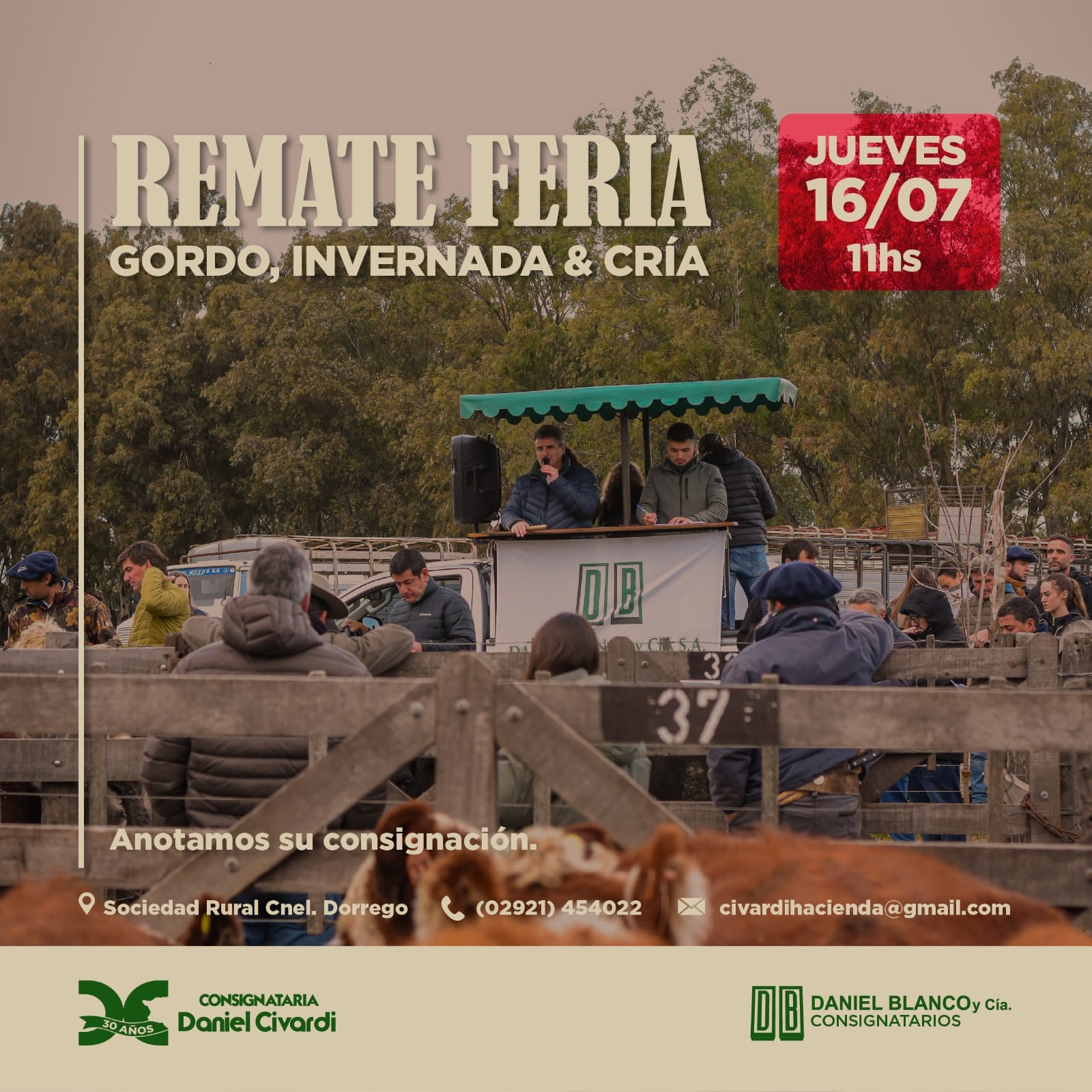 Inicio - Codigo no Borrar 2