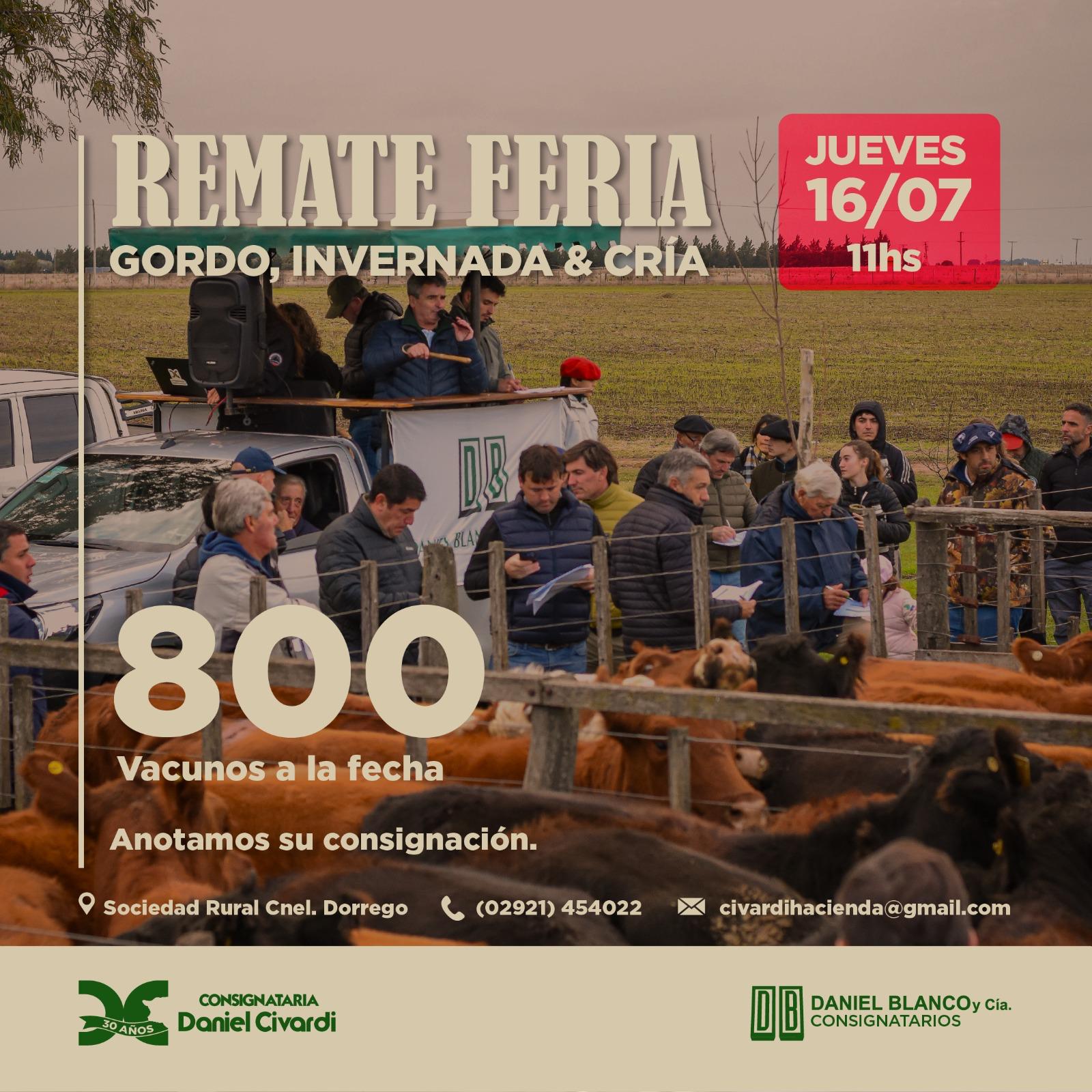 Campo - Industria 10