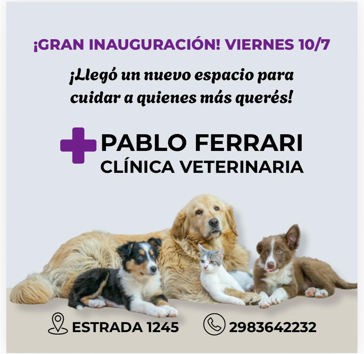 Home Publicidad 2