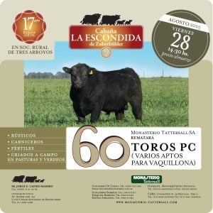 Inicio - Publicidad 3