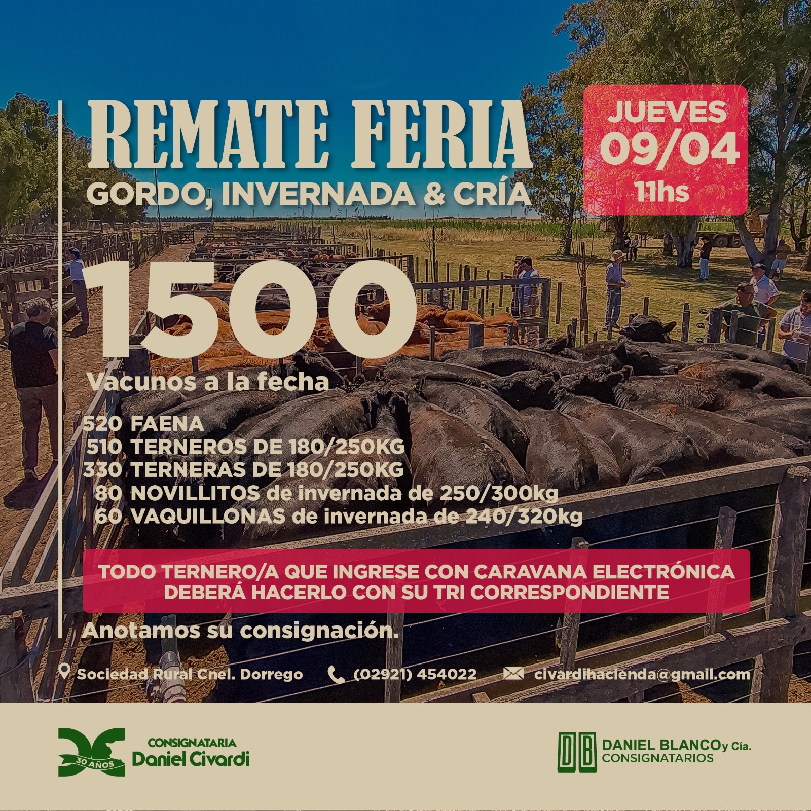 Inicio - Publicidad 6