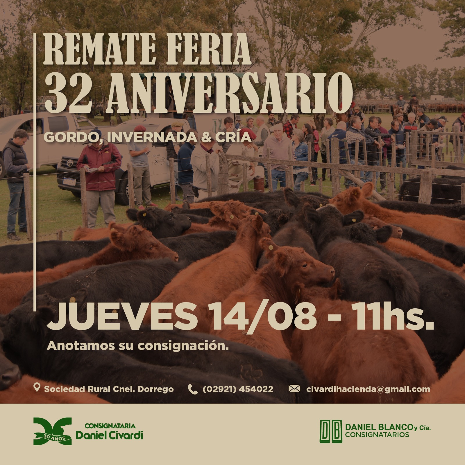 Inicio Publiciadad 26