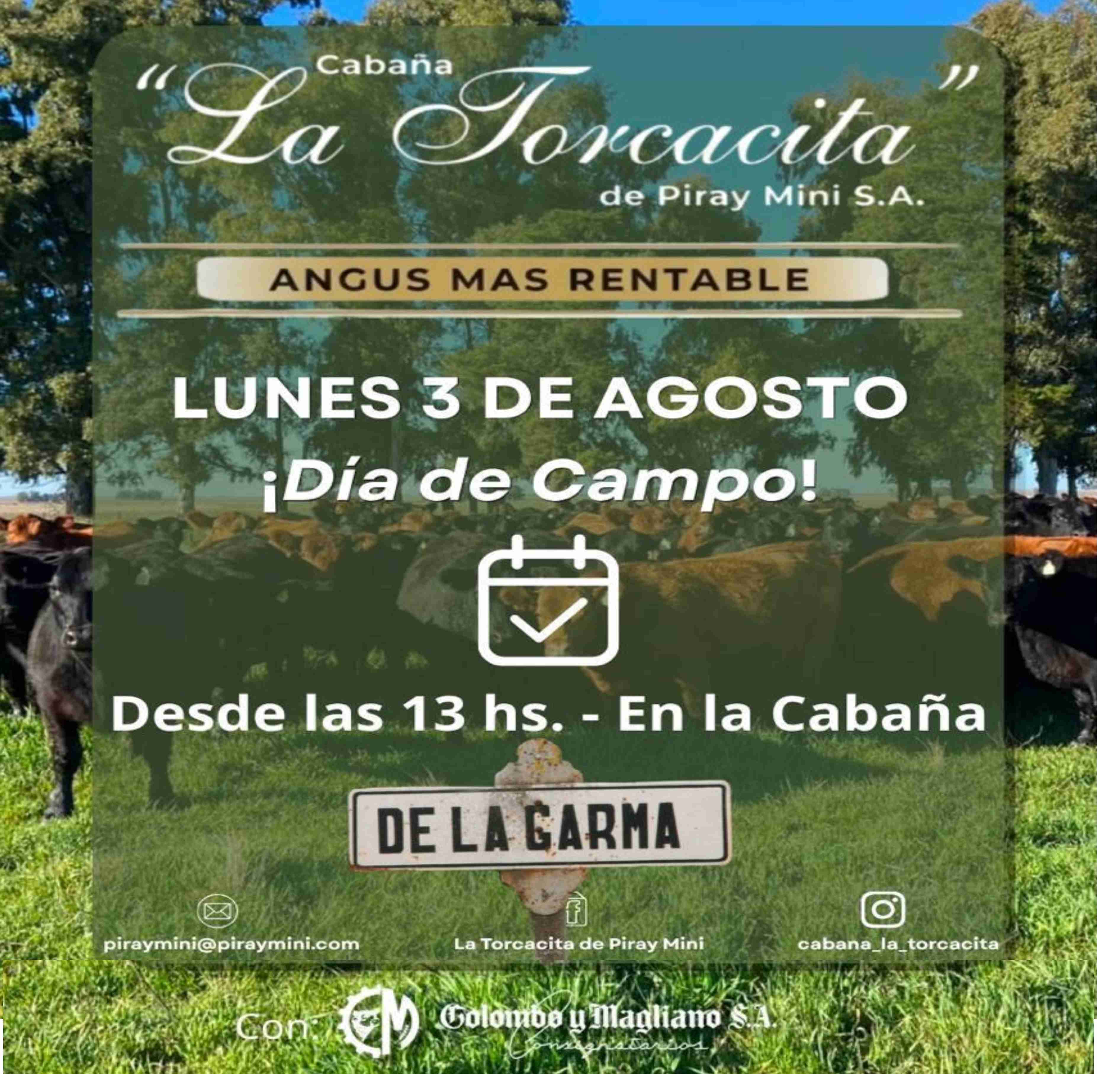 Inicio - Publicidad 11