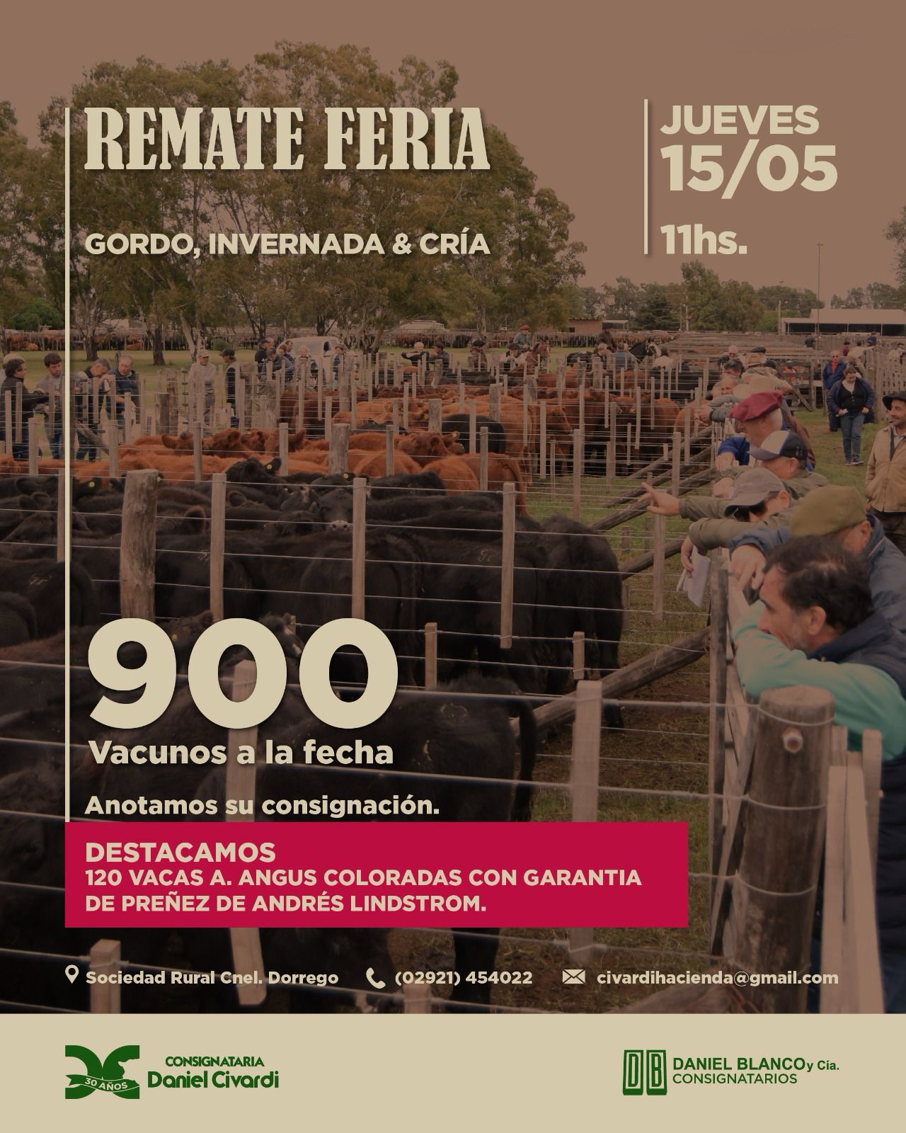 Campo-Industria 5