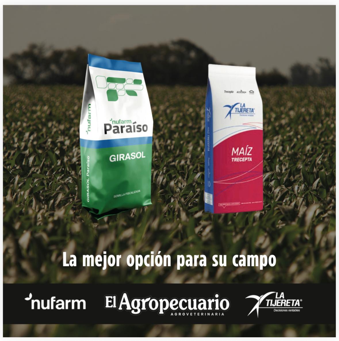 Inicio - Publicidad 12