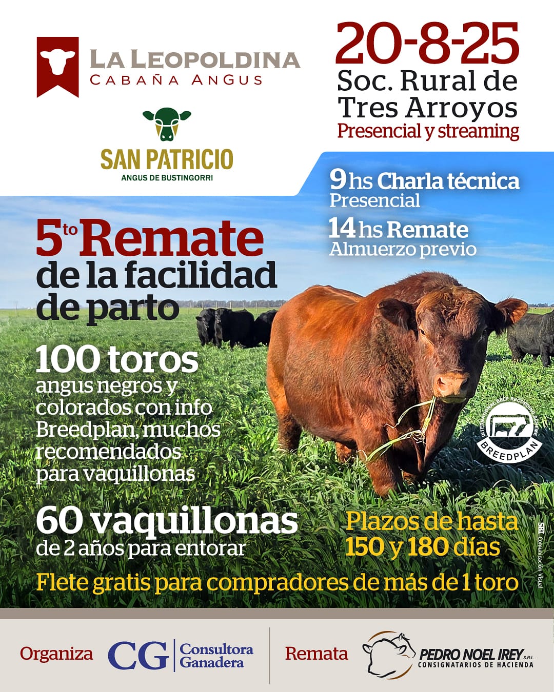 Campo - Industria 9