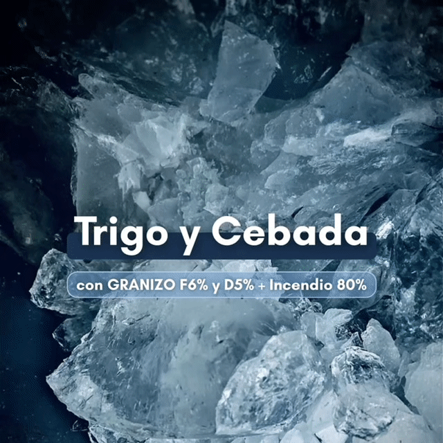Inicio Publiciadad 26