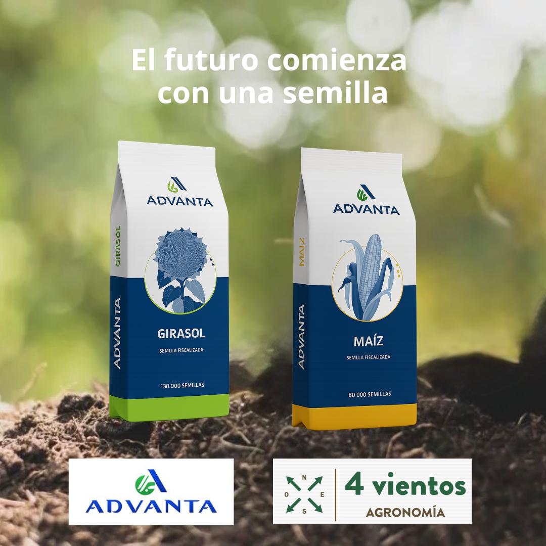 Inicio Publicidad 28