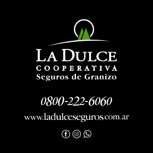 Inicio Publicidad 29
