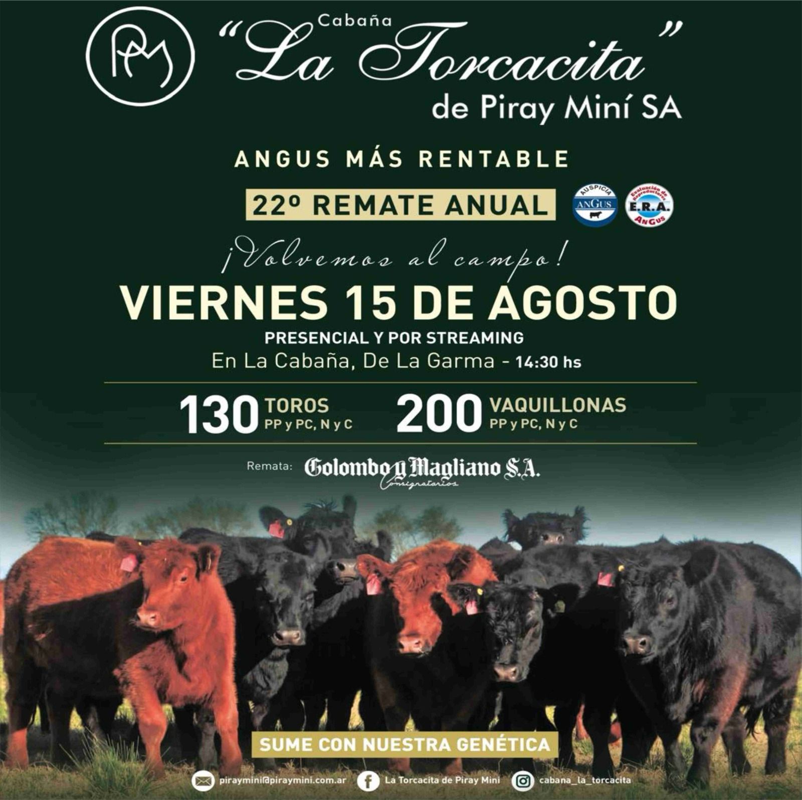Inicio Publicidad 24