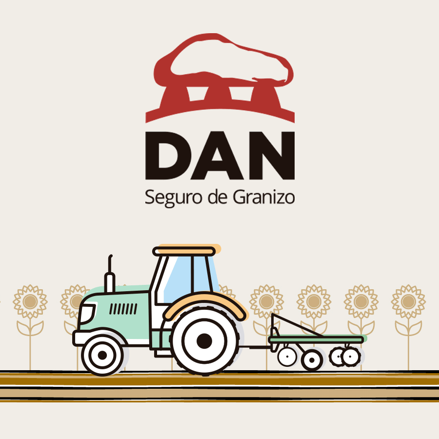 Inicio - Publicidad 14