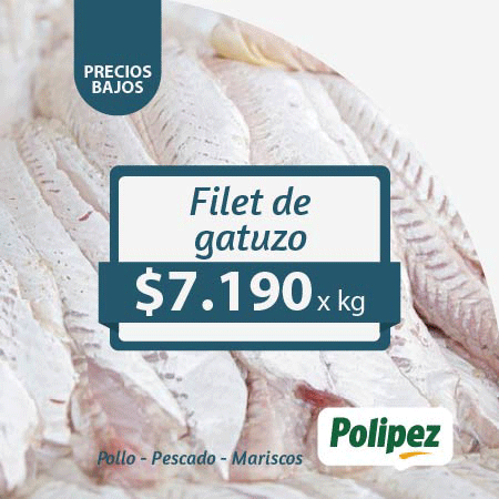 Inicio Publicidad 24