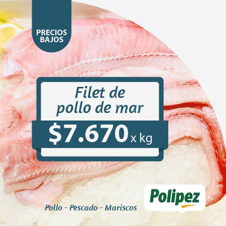 Inicio Publicidad 24