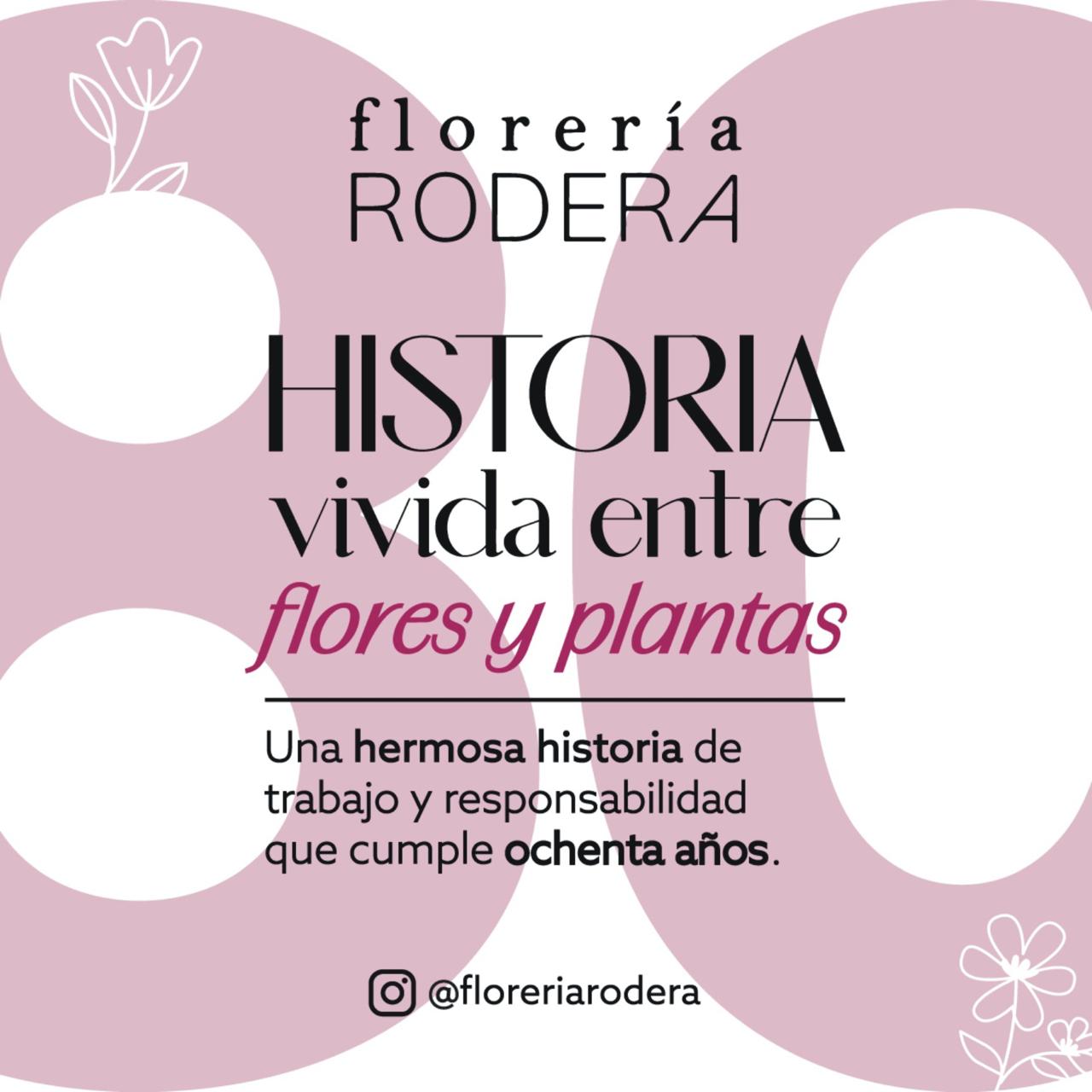 Inicio - Publicidad 3
