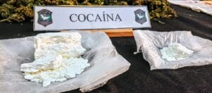 Punta Alta: un hombre fue aprehendido por tener marihuana y cocaína para la venta (videos)