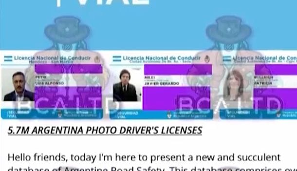Robaron la base de datos de todas las licencias de conducir del país. Expusieron el carnet de Milei como prueba