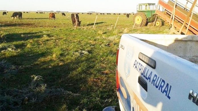 Se recupera mujer baleada en un campo: fueron los mismos ladrones que hace un año