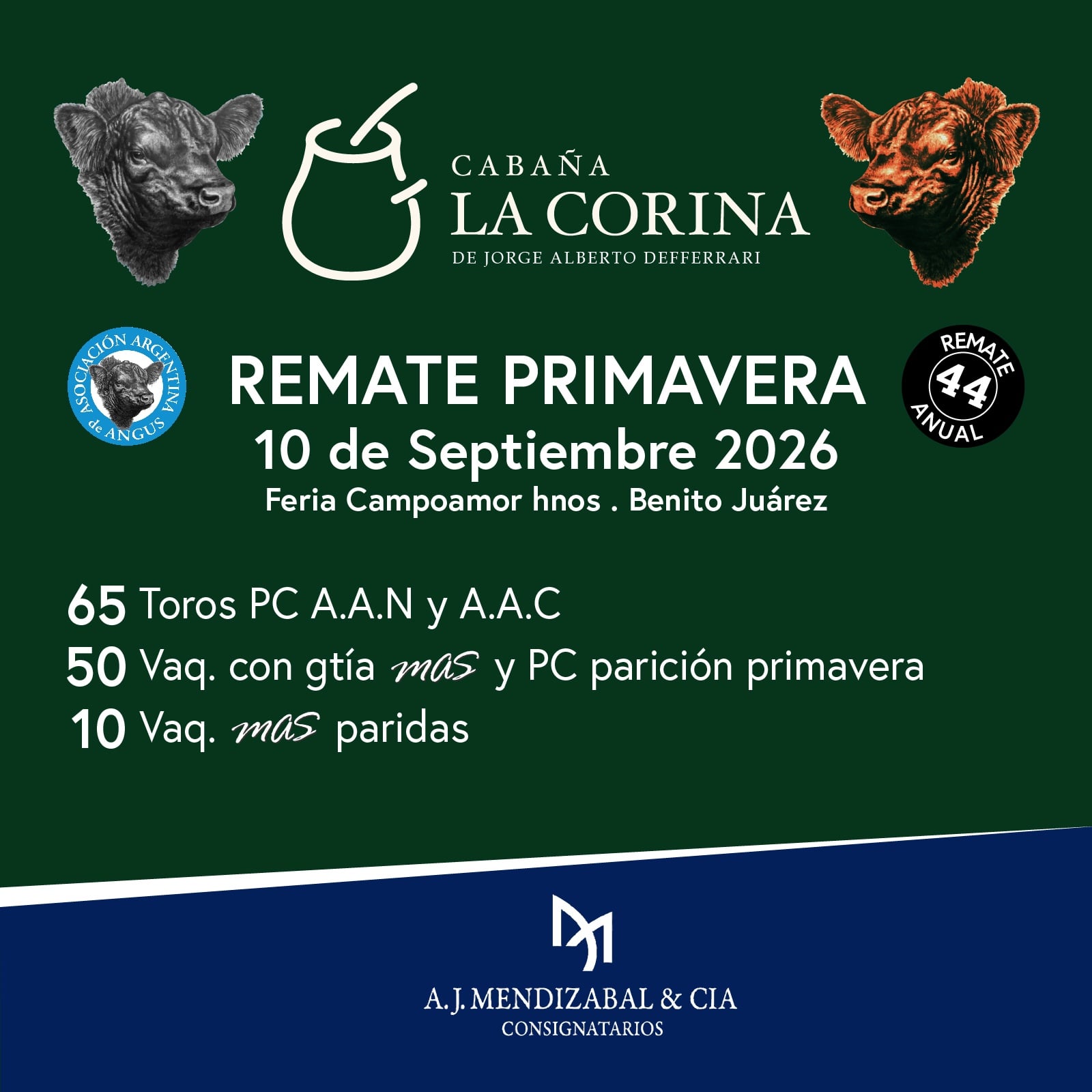 Publicidad Final Home