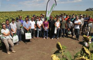 Jornada a campo de El Agropecuario y Nuseed