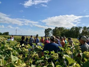 Jornada a campo de El Agropecuario y Nuseed