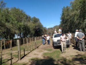 Satisfactorio remate de La Agrícola Ganadera en San Cayetano